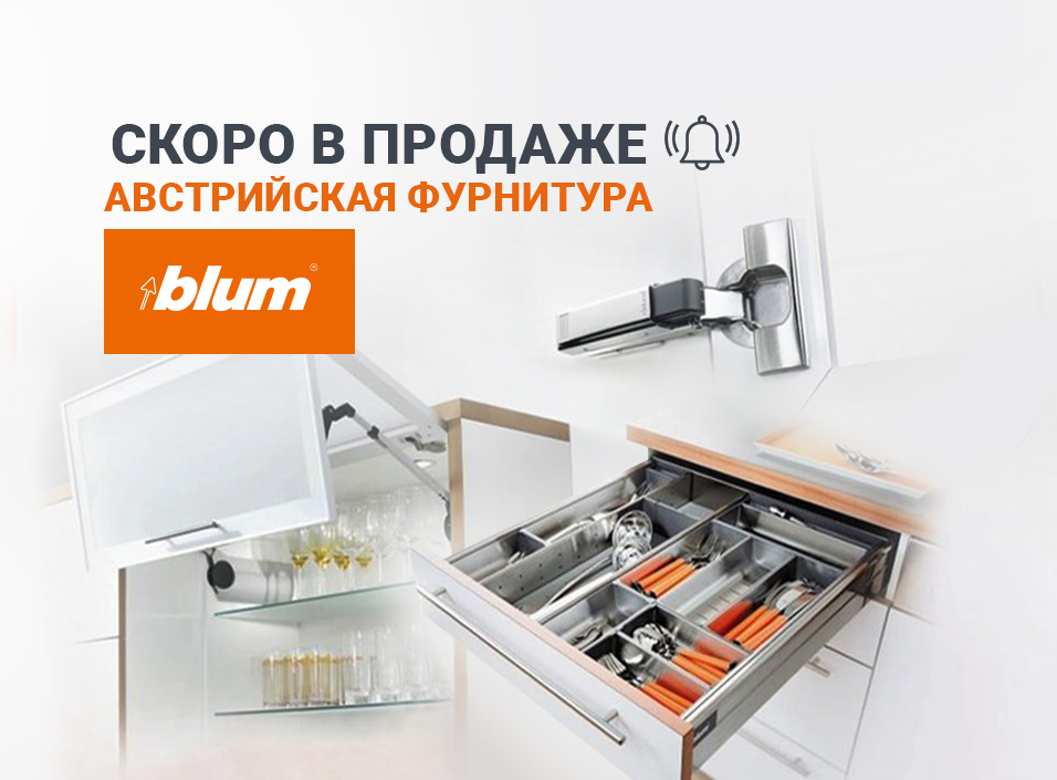 баннер-в-новость_Blum (1).jpg баннер-в-новость_Blum (1).jpg